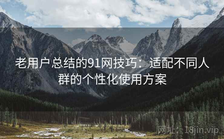 老用户总结的91网技巧：适配不同人群的个性化使用方案