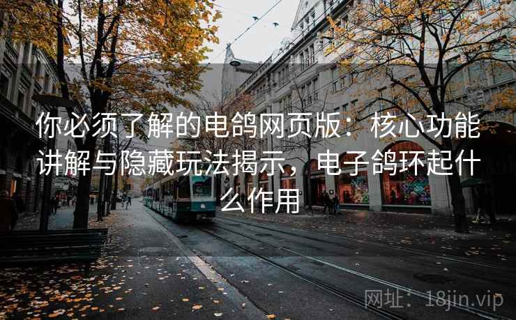 你必须了解的电鸽网页版：核心功能讲解与隐藏玩法揭示，电子鸽环起什么作用