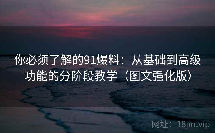 你必须了解的91爆料：从基础到高级功能的分阶段教学（图文强化版）