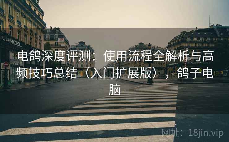 电鸽深度评测:使用流程全解析与高频技巧总结(入门扩展版),鸽子电脑 电鸽深度评测:使用流程全解析与高频技巧总结(入门扩展版),鸽子电脑