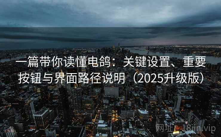 一篇带你读懂电鸽：关键设置、重要按钮与界面路径说明（2025升级版）