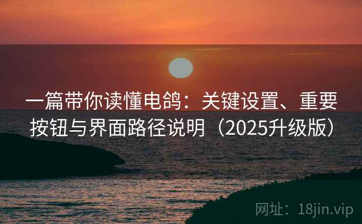 一篇带你读懂电鸽：关键设置、重要按钮与界面路径说明（2025升级版）