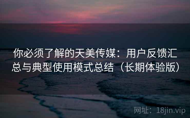 你必须了解的天美传媒：用户反馈汇总与典型使用模式总结（长期体验版）