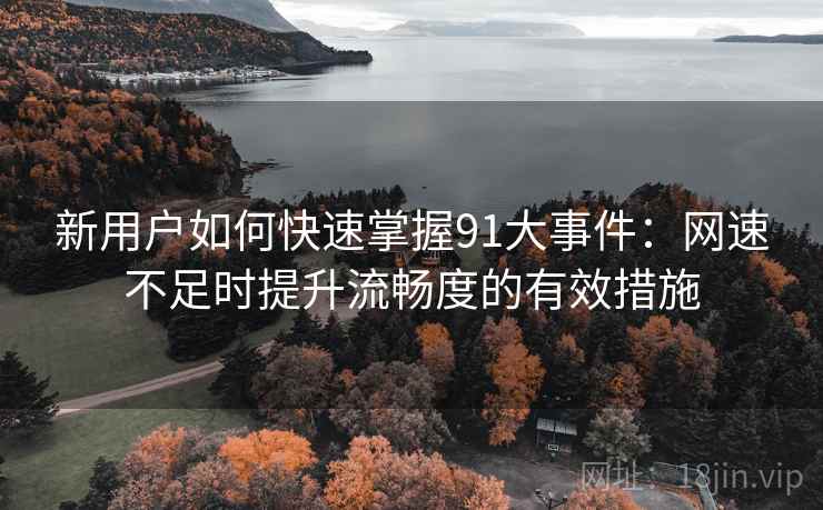 新用户如何快速掌握91大事件：网速不足时提升流畅度的有效措施