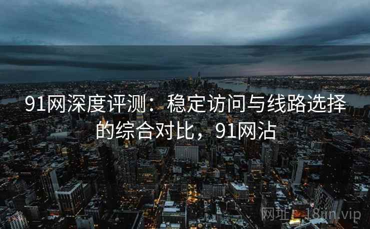 91网深度评测：稳定访问与线路选择的综合对比，91网沾