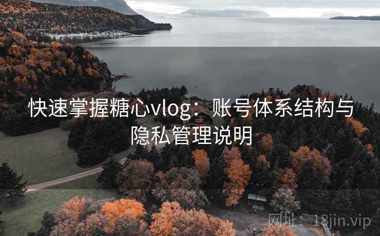 快速掌握糖心vlog：账号体系结构与隐私管理说明
