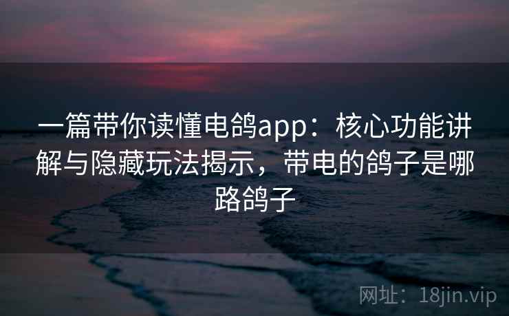 一篇带你读懂电鸽app：核心功能讲解与隐藏玩法揭示，带电的鸽子是哪路鸽子