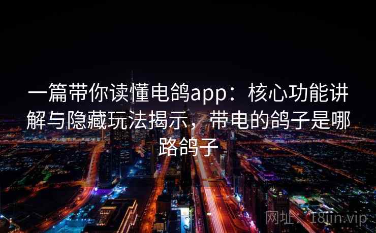 一篇带你读懂电鸽app：核心功能讲解与隐藏玩法揭示，带电的鸽子是哪路鸽子