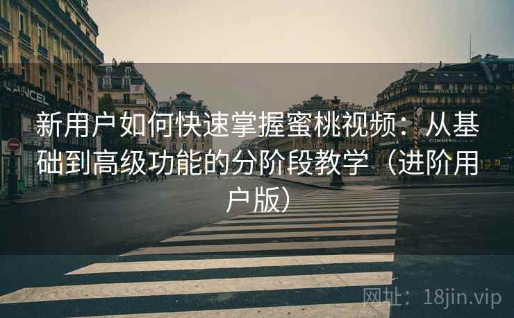 新用户如何快速掌握蜜桃视频：从基础到高级功能的分阶段教学（进阶用户版）