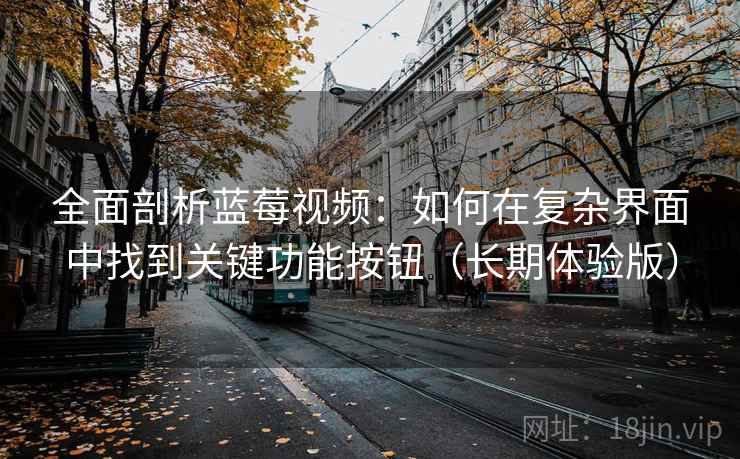 全面剖析蓝莓视频：如何在复杂界面中找到关键功能按钮（长期体验版）