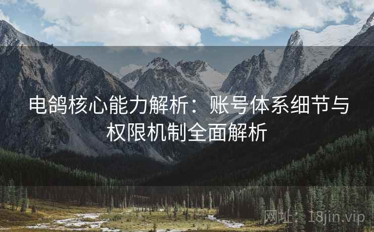 电鸽核心能力解析：账号体系细节与权限机制全面解析