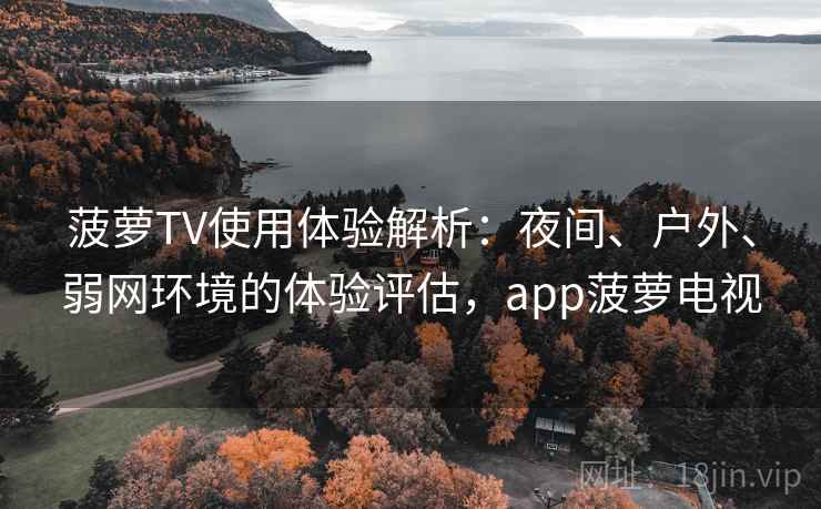 菠萝TV使用体验解析：夜间、户外、弱网环境的体验评估，app菠萝电视