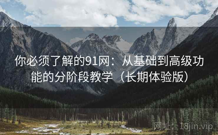你必须了解的91网：从基础到高级功能的分阶段教学（长期体验版）
