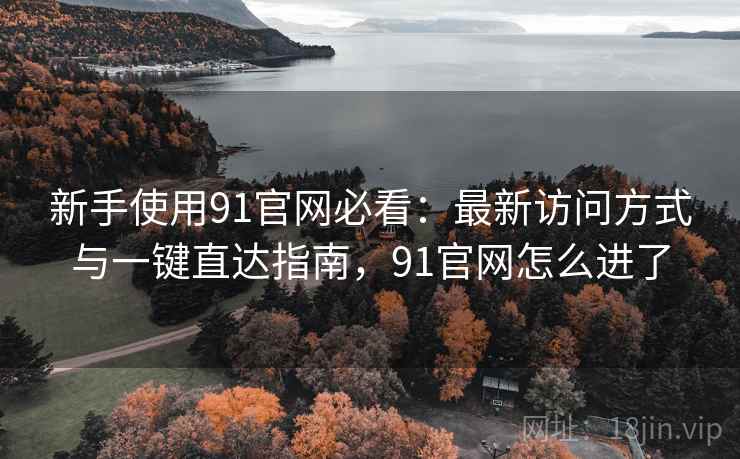 新手使用91官网必看：最新访问方式与一键直达指南，91官网怎么进了