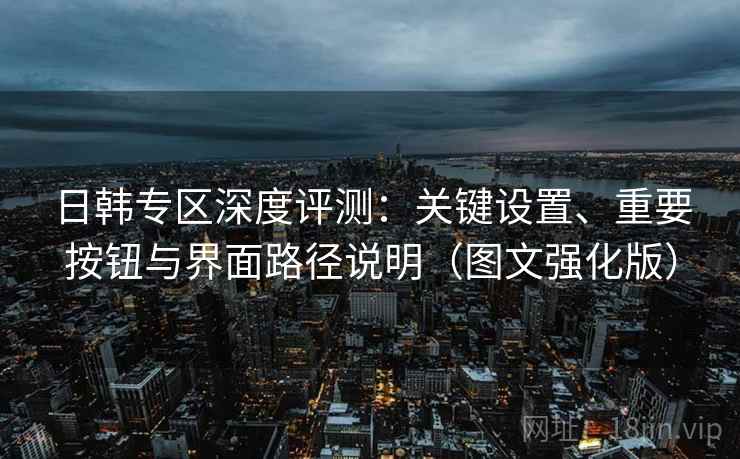 日韩专区深度评测：关键设置、重要按钮与界面路径说明（图文强化版）