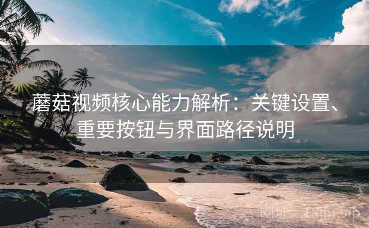 蘑菇视频核心能力解析：关键设置、重要按钮与界面路径说明