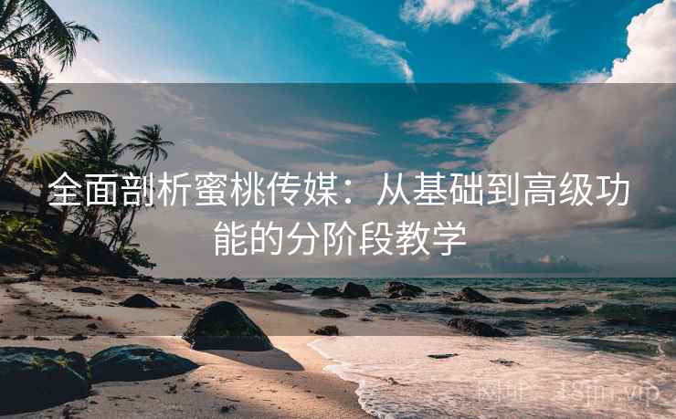 全面剖析蜜桃传媒:从基础到高级功能的分阶段教学 全面剖析蜜桃传媒:从基础到高级功能的分阶段教学