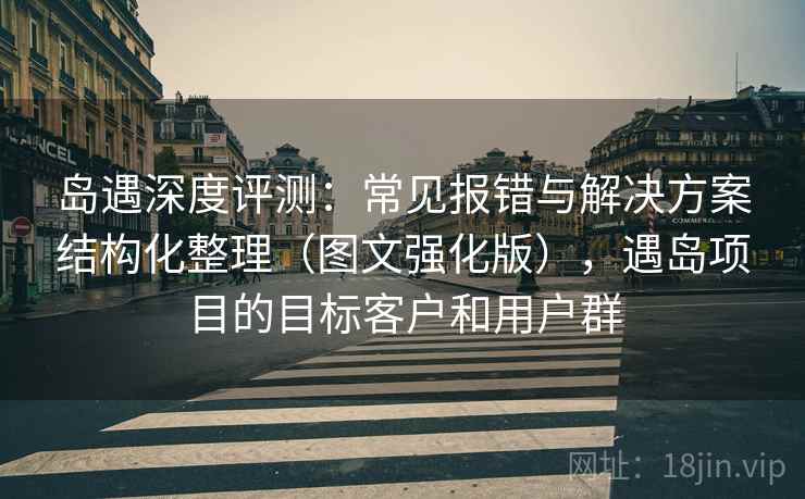 岛遇深度评测：常见报错与解决方案结构化整理（图文强化版），遇岛项目的目标客户和用户群