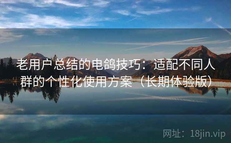 老用户总结的电鸽技巧：适配不同人群的个性化使用方案（长期体验版）