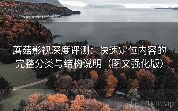 蘑菇影视深度评测：快速定位内容的完整分类与结构说明（图文强化版）